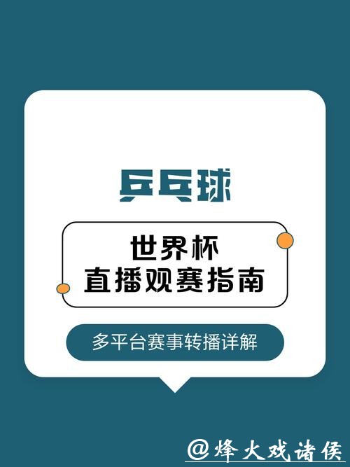 世界杯直播：专业解说团队观赛新体验